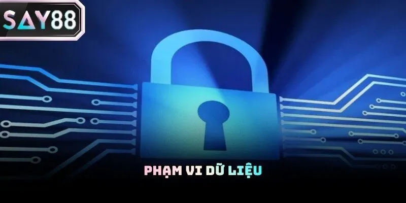 Phạm vi sử dụng dữ liệu người dùng tại hệ thống chính sách bảo mật Say88