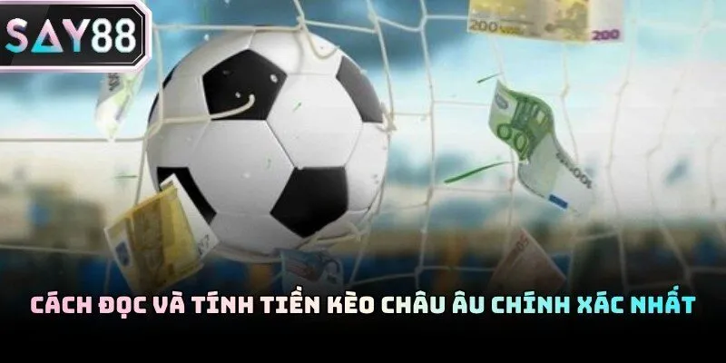 Công thức tính lợi nhuận dựa trên tỷ lệ Odds hiển thị thực tế