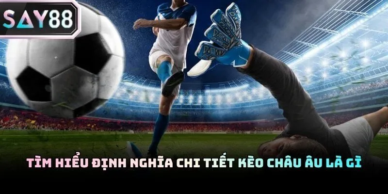 Giao diện bảng kèo 1X2 trực quan trên hệ thống đặt cược bóng đá online