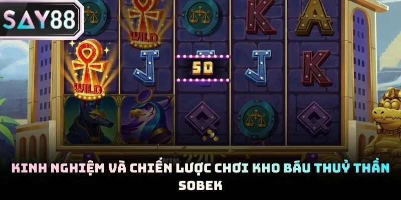 Biểu đồ phân bổ nguồn vốn thông minh giúp duy trì cuộc chơi lâu dài