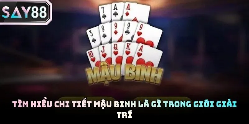 Giao diện bàn chơi bài Xập Xám với 13 lá bài chuyên nghiệp