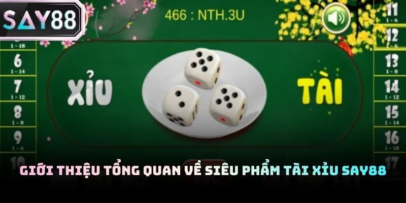 Giao diện đặt cược trực quan với hệ thống vận hành hiện đại