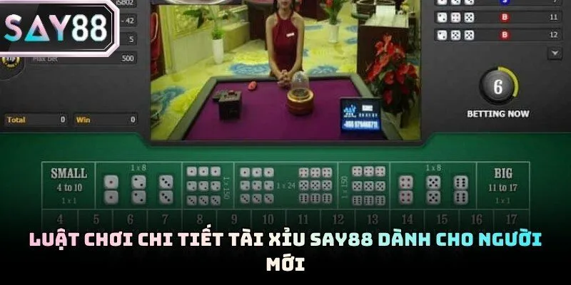 Quy tắc đặt cược và tỷ lệ trả thưởng minh bạch cho hội viên