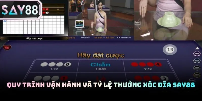 Xóc đĩa Say88 thống kê kết quả hỗ trợ người chơi soi cầu chính xác